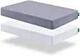 Biloban Sheet